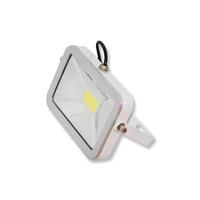 New design COB LED Flood Light for sale
